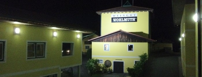 Weingut Wohlmuth is one of Südsteirische Weinstrasse.