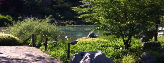 Japanese Garden and Pavillion is one of Montréal: My favorite chill places!.