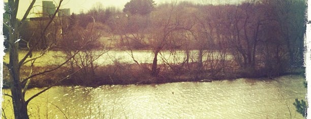 The Humber River is one of A 님이 좋아한 장소.
