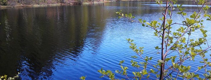 Дружинное (Чёртово) озеро is one of Озера.