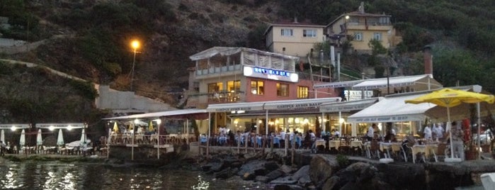 Garipçe Aydın Balık is one of Istanbul Favorite Restaurants.