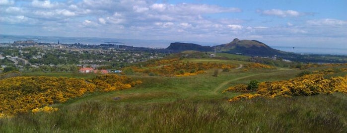Braid Hills is one of Edinburgh and surroundings.