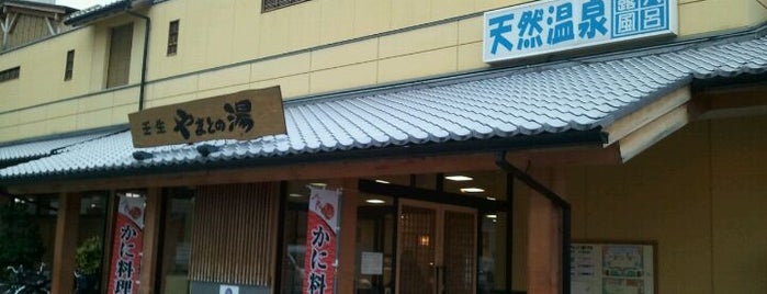 やまとの湯 壬生店 is one of 日帰り温泉.