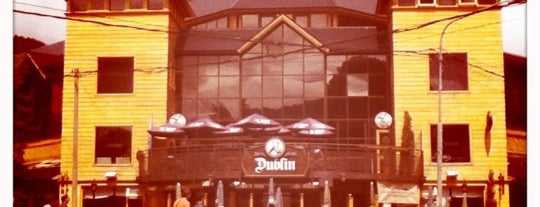 Dublin South Pub is one of Estuve.