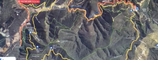 Fireball mountain bike track is one of Mountain Bike Tracks in Nelson.