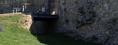 Castillo de Burgos is one of Castilla y León.