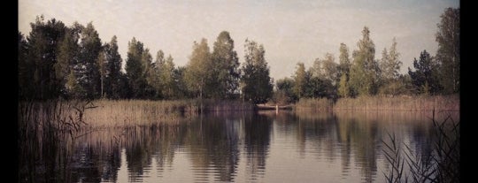 рыбалка Озеро Толокунь is one of Природа вокруг Киева.
