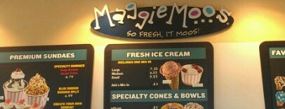 MaggieMoo's Ice Cream and Treatery is one of HoCo.