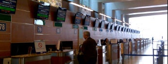 Check-in Area (D) is one of SVO Airport Facilities.