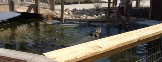 Boulder Ridge Wild Animal Park is one of Katy'ın Kaydettiği Mekanlar.