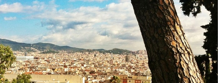 Гора Монтжуик is one of Barcelona.