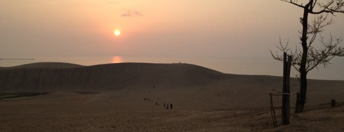 Tottori Sand Dunes is one of 日本の夕陽百選.