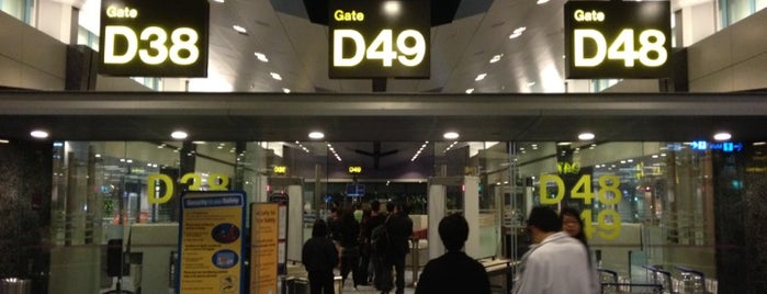 Gate D48 is one of SIN Airport Gates.