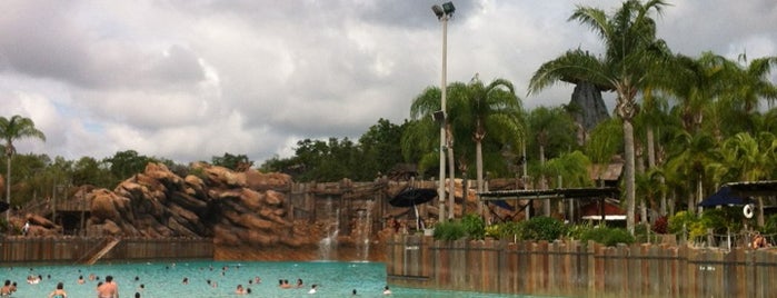 Parque Acuático Disney's Typhoon Lagoon is one of Jackson's 2012 (Graduation) WDW Trip.