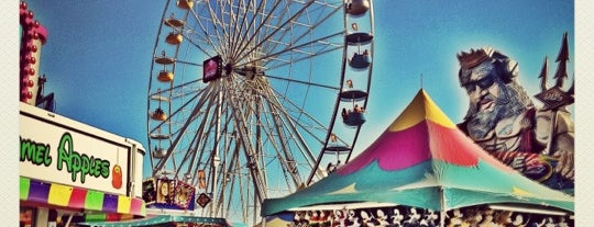 Del Mar Fairgrounds is one of Posti che sono piaciuti a Anoush.