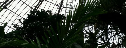 Allan Gardens is one of Dates.