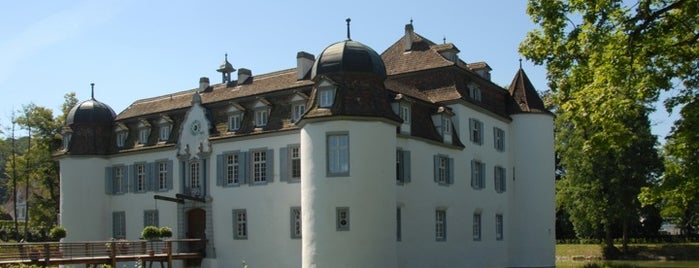 Schloss Bottmingen is one of DLE.