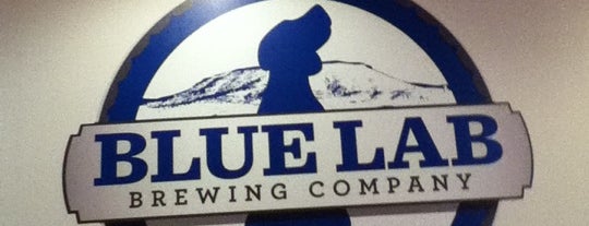 Blue Lab Brewing Company is one of Virginia Craft Breweries.