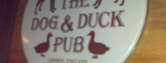 The Dog & Duck Pub is one of Top Picks for Pubs.
