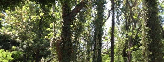 Parques, Plazas y Jardines del Centro