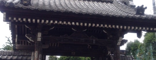 禅定院 (瑠璃光山 薬王寺) is one of 中野のおもいで.