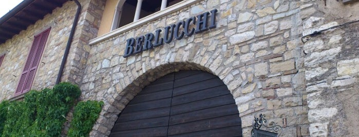 Cantine Berlucchi is one of Cantine della Franciacorta.