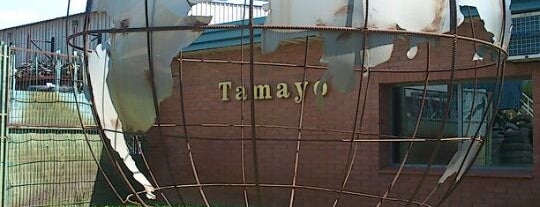 Desguaces Tamayo is one of Miri.