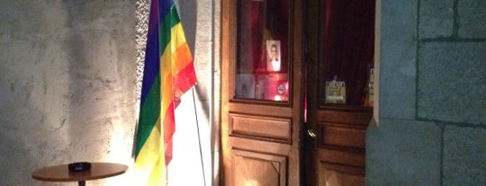 Geneva's gay places