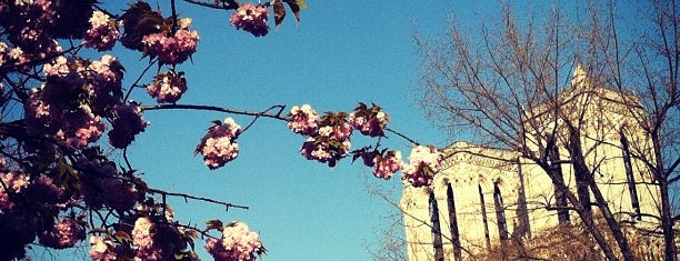 Restaurant Jardin Notre-Dame is one of Posti che sono piaciuti a David.