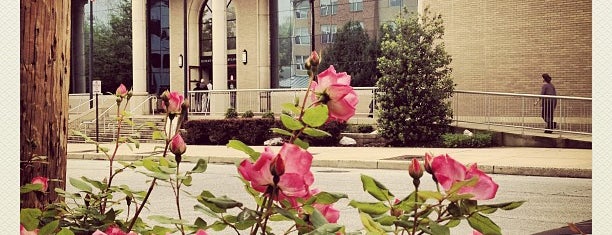 District Court of Maryland is one of สถานที่ที่ Amar ถูกใจ.