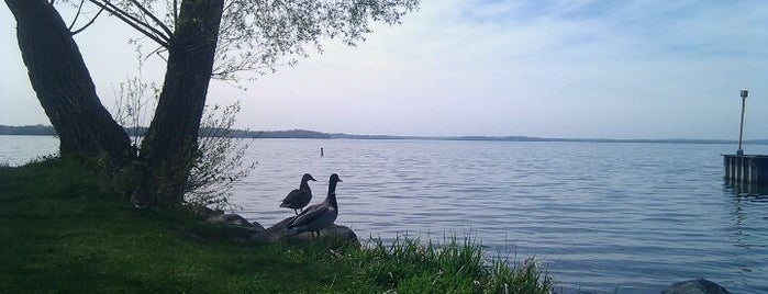 Olbrich Park is one of Brandon’s Liked Places.