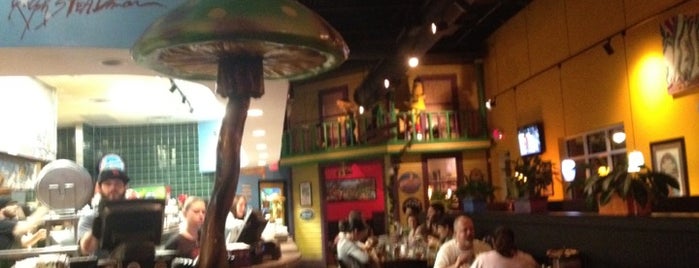 Mellow Mushroom is one of Yummiest restaurants in Tampa! :).