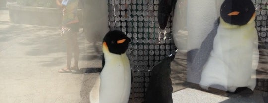 Penguin Encounter is one of Tempat yang Disukai Chris.