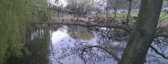 Cavendish Laboratory Duck Pond is one of Lugares favoritos de John.