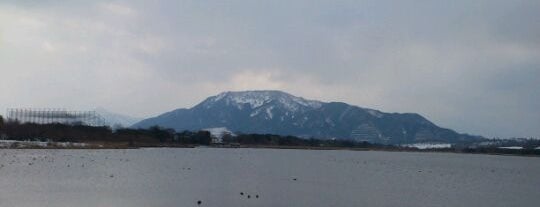 Sakata Lagoon is one of ラムサール条約登録湿地(Ramsar Convention Wetland in Japan).