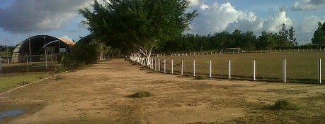 Pista de Atletismo - IAENE is one of Lieux qui ont plu à Fabio.