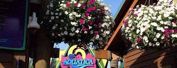Aquatica Orlando is one of Florida.