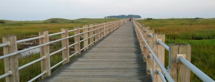 Silver Sands State Park Boardwalk is one of Orte, die Wes gefallen.