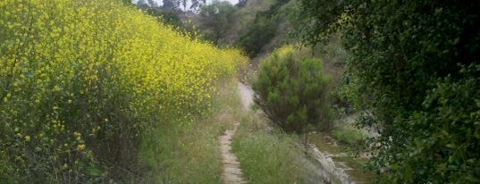 San Clemente Canyon is one of Jessica's Saved Places.
