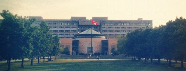 York University