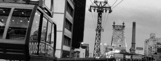 Roosevelt Island Tram (Roosevelt Island Station) is one of nyc2013.