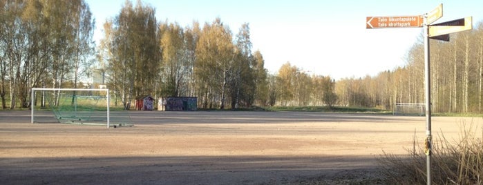 Ulvilantien kenttä is one of Finnish Baseball (Pesäpallo) in Helsinki area.