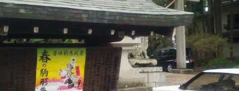 駒形神社 is one of 諸国一宮.