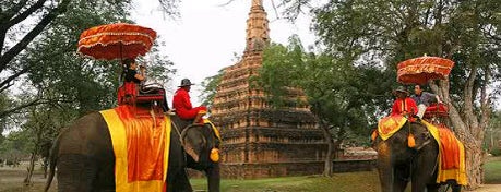Ayutthaya Elephant Camp is one of "All in Ayuttaya".