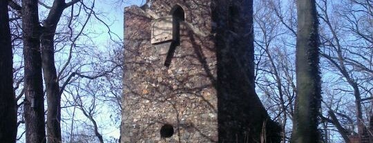 Cibulka Viewtower is one of České rozhledny.