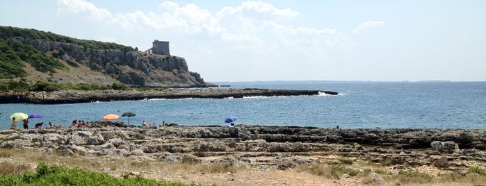 Porto Selvaggio is one of Mik’s Liked Places.