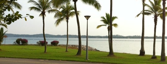 Pasir Ris Park is one of Roger’s Liked Places.