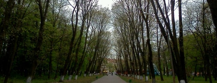 Боздошський парк is one of Уж.