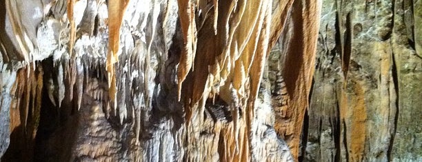 Grotte di Postumia is one of Top Locations rund um Triest (ca. 50 km) SLO, ITA.