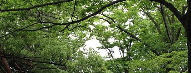 Yoyogi Park is one of 東京都立の公園・庭園.